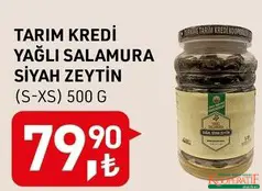 TARIM KREDİ YAĞLI SALAMURA SİYAH ZEYTİN (S-XS) 500 G TARIM KREDİ YAĞLI SALAMURA SİYAH ZEYTİN (S-XS) 500 G